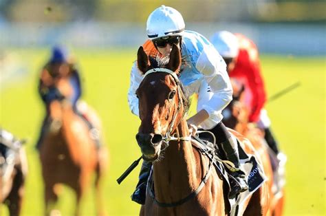 Surround Stakes Field – 2021 .